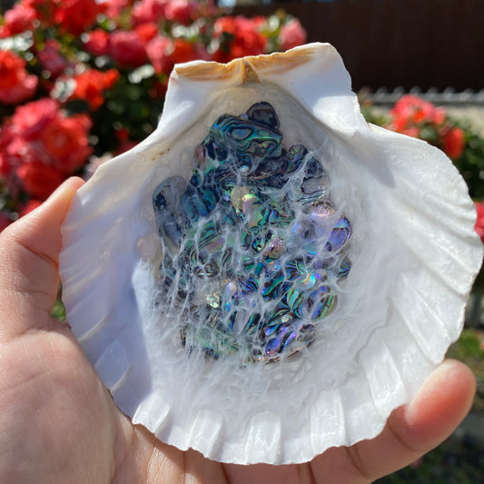 Abalone Stone Themed Seashell Ring Dish