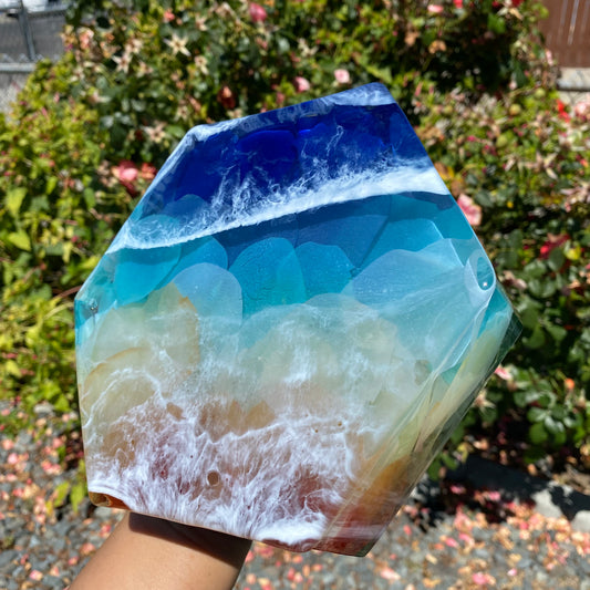 Beach Themed Rose Petal Hexagon