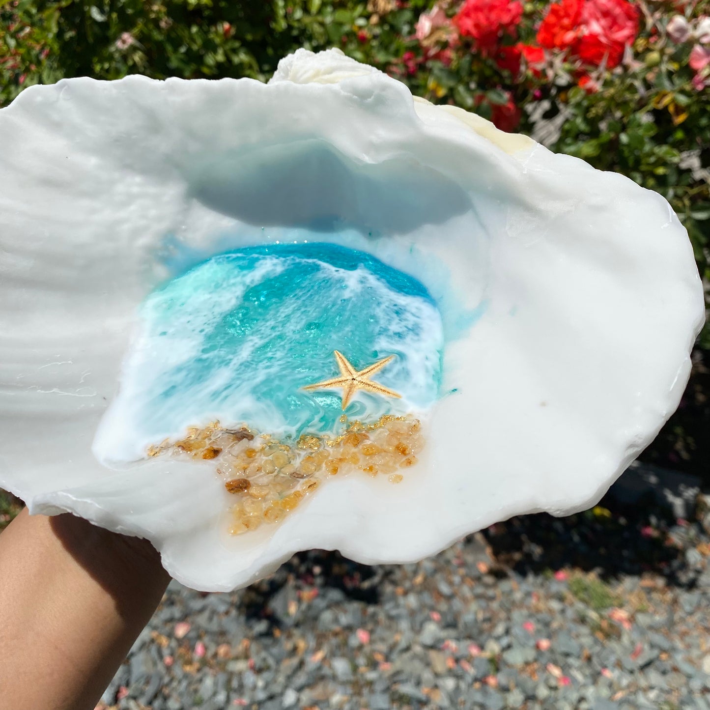 Large Clam Shell Tray