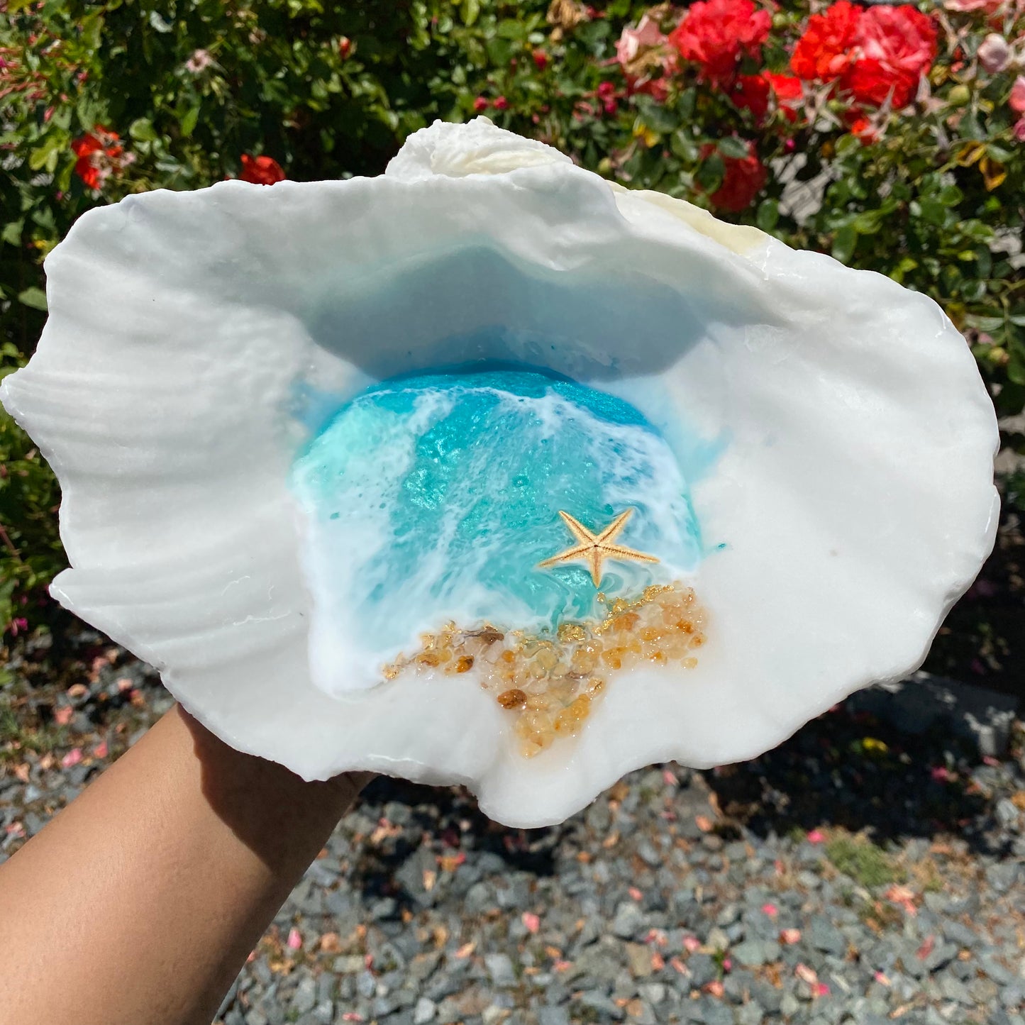 Large Clam Shell Tray