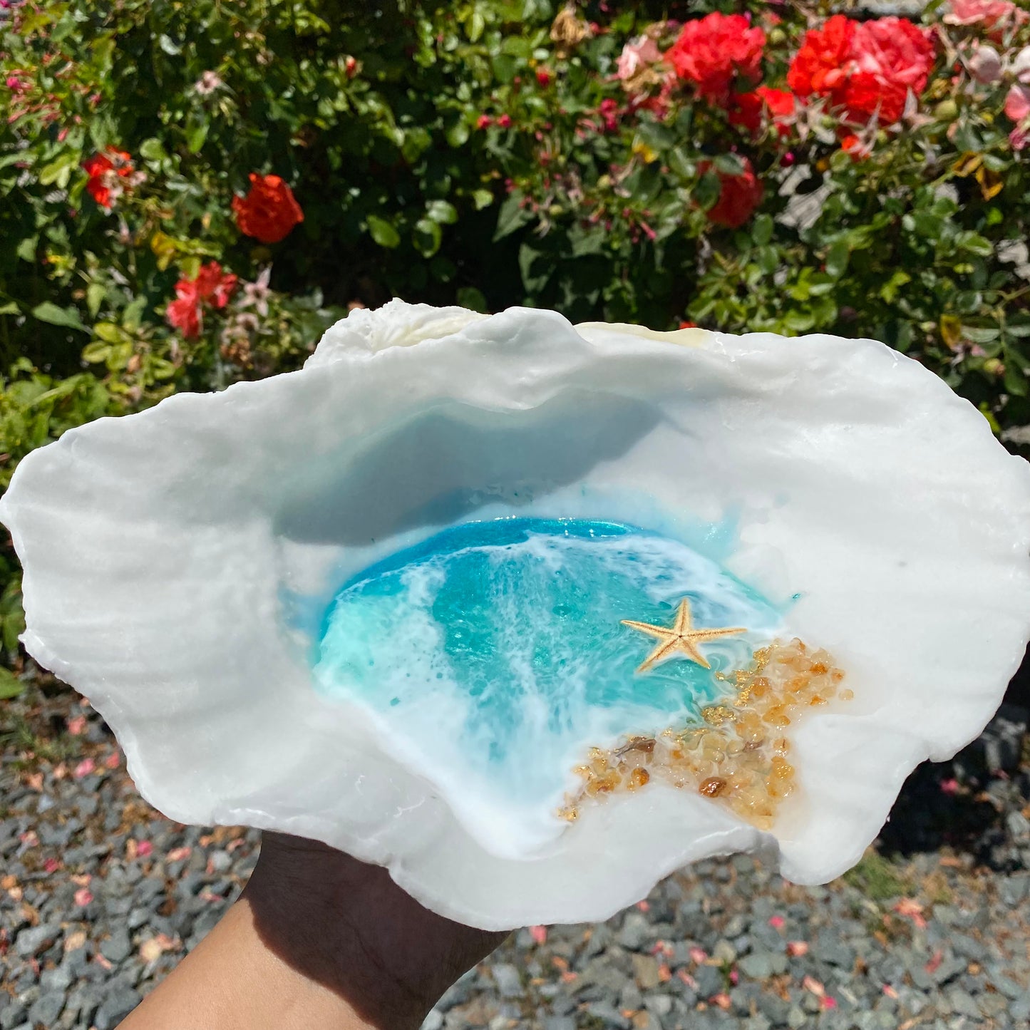 Large Clam Shell Tray