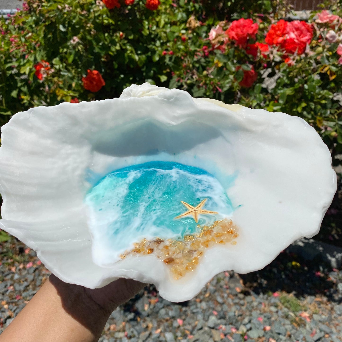 Large Clam Shell Tray