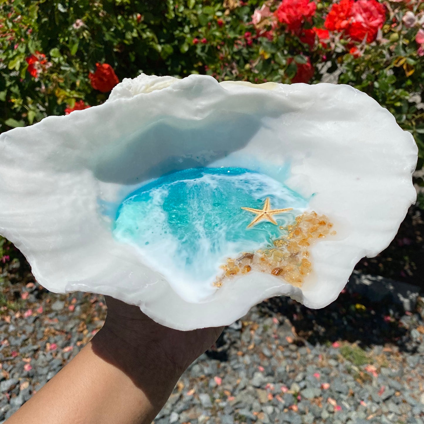 Large Clam Shell Tray